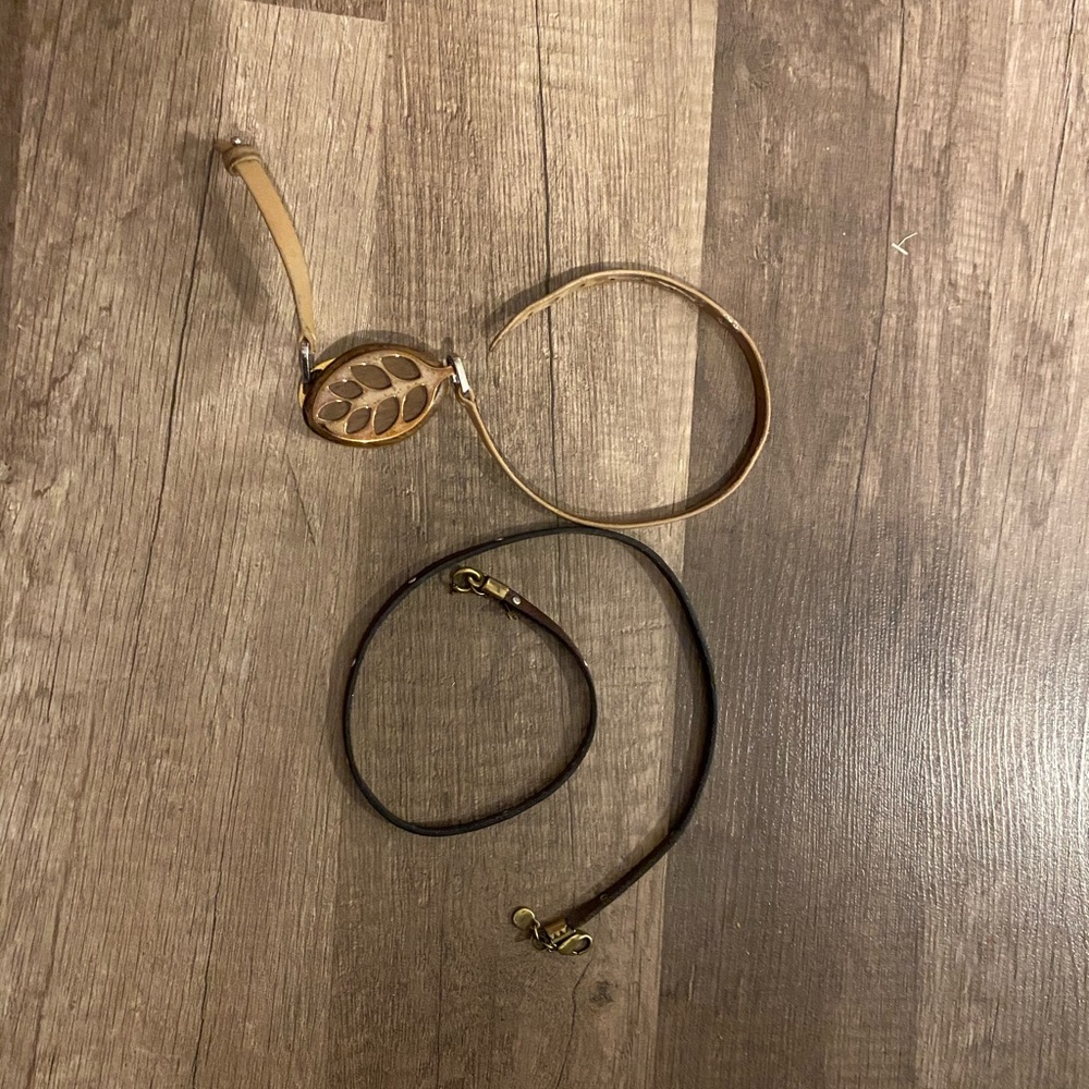 Bellabeat leaf